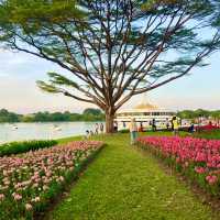 สวนหลวงร.9 สวนสาธารณะที่ใหญ่ที่สุดในกรุงเทพ