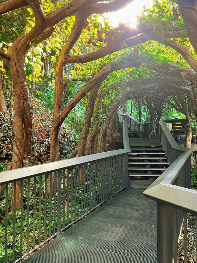 廣州景點📸 雲蘿植物園