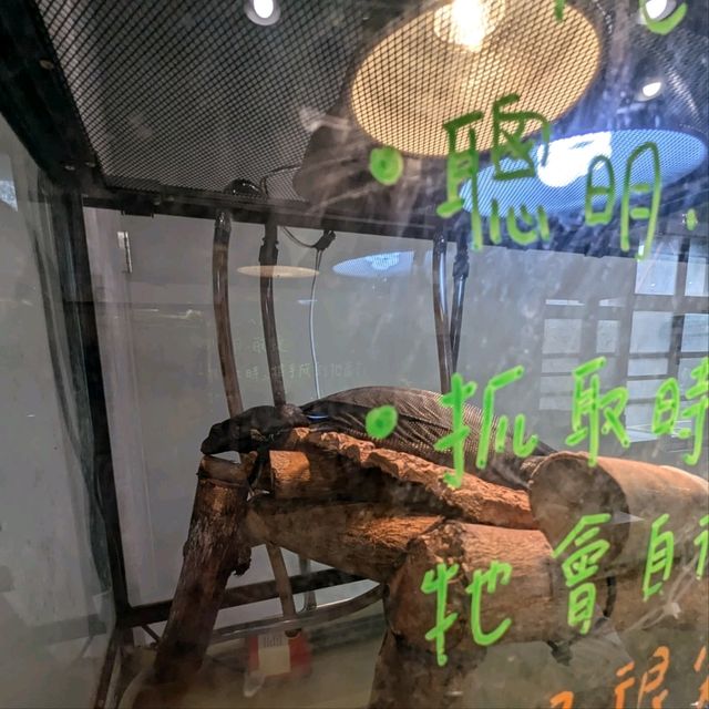 邊喝咖啡、邊抱蛇、邊摸象龜！超有趣的爬蟲友善店：爬寵咖啡