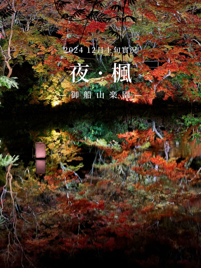 #紅葉實況 佐賀最美夜楓🍁🍂🌙🌌