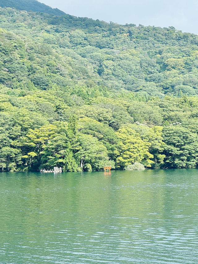 箱根人氣景點 -  箱根神社 水中鳥居⛩️