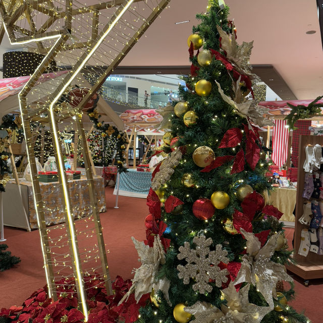 Teddies, Trees, and Twinkling Lights—Christmas Fun Awaits!” 🎁