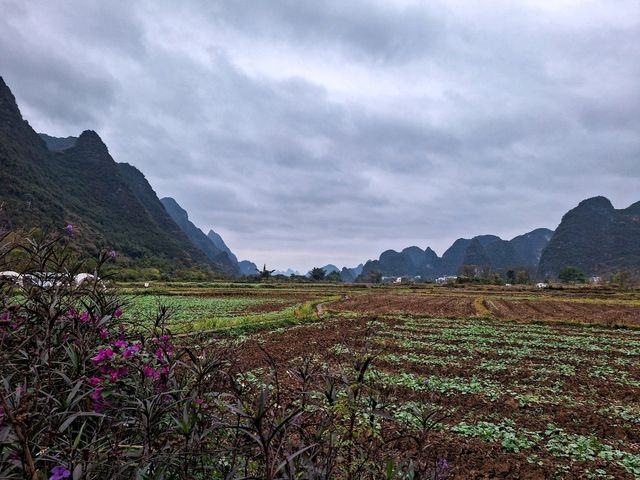桂林冬季輕奢之旅 Day 2 (Part 2 - 世外桃源、富里穚及遇龍河邊田園旅拍)