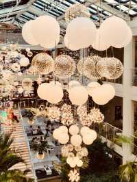 Forest Outings Songdo Branch 🌟🎄