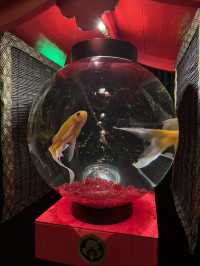 A museum for.....fish? In tokyo!