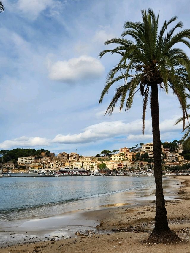🧡마요르카 여행 중 힐링했던 "소예르항구(Port de Sóller)"🧡