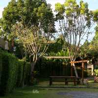 Sabaydee Cafe & Farm I สบายดี คาเฟ่ & ฟาร์ม