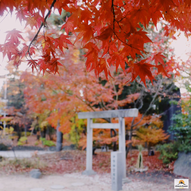 Yohashira Shrine