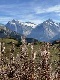 Hike Into Alpine Bliss at Grindelwald First in Switzerland