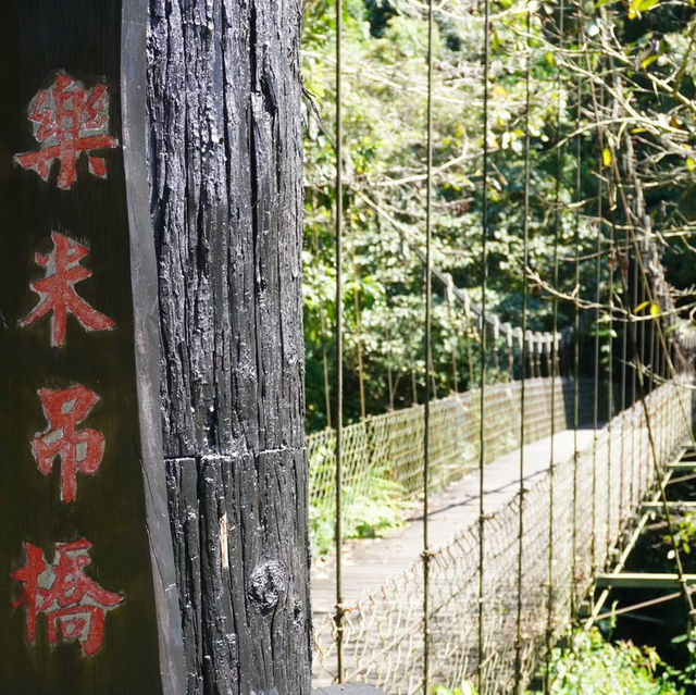 阿里山鄉迷糊步道