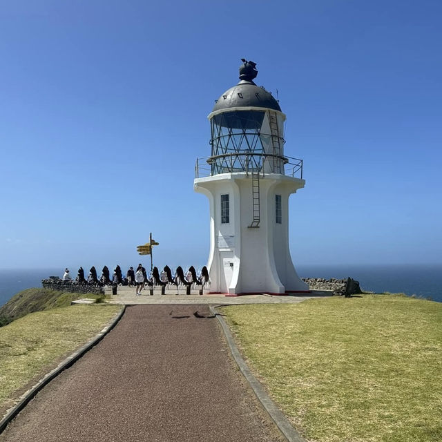 Dawn of 2025: Cape Reinga's Enchanting Beauty