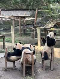 Chongqing- The Mountain City that penalising someone for insufficient stamina