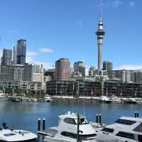 Harbor Bliss: My Park Hyatt Auckland Escape