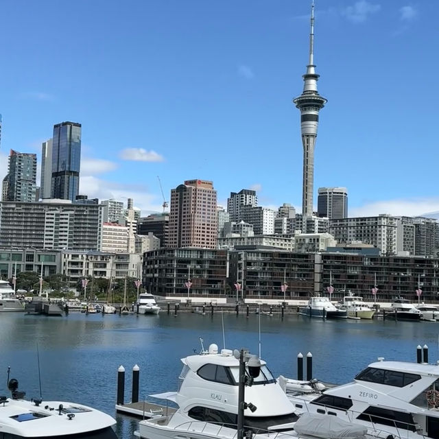 Harbor Bliss: My Park Hyatt Auckland Escape