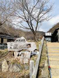 【冬の栃木那須の旅】  栃木最古の湯  48℃の湯が・・ポカポカ すべすべ
