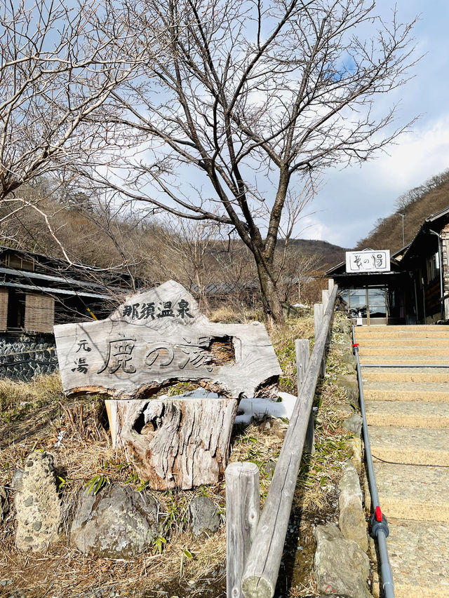 【冬の栃木那須の旅】  栃木最古の湯  48℃の湯が・・ポカポカ すべすべ