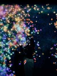 Teamlab Borderless พิพิธภัณฑ์โตเกียว