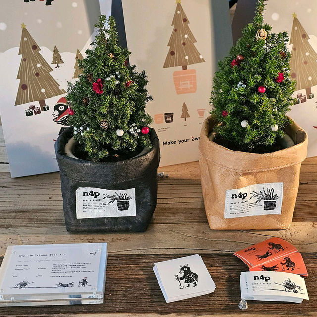 🌳😍성수  너무 좋은 본지르르 카페