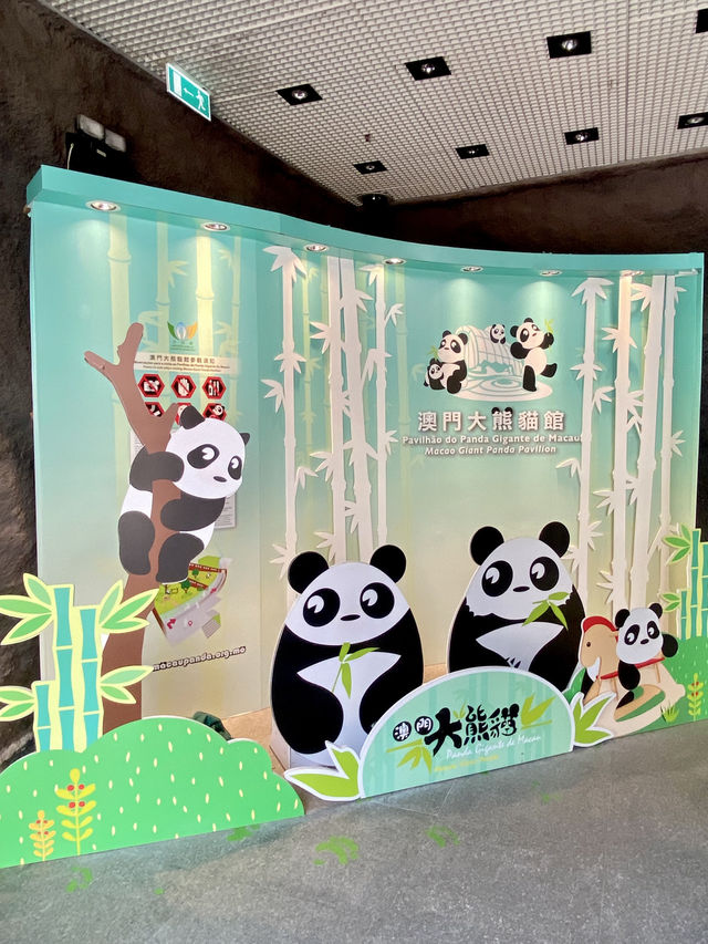 🐼😍澳門大熊貓館｜澳門親子行程景點推薦🧑‍🧑‍🧒‍🧒🧍‍♂️🧍‍♀️