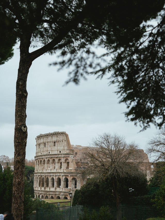 【イタリア】 コロッセオで古代ローマを感じる旅