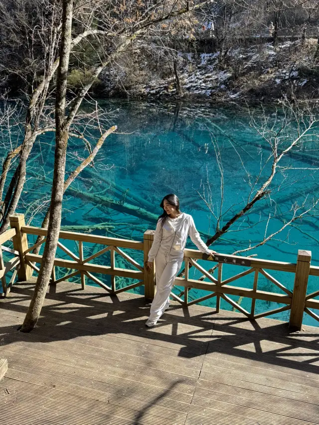 Jiuzhaigou 관광지 5A 등급