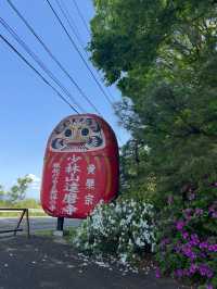 Shorinzan Daruma-ji วัดแห่งดารุมะ 🎏