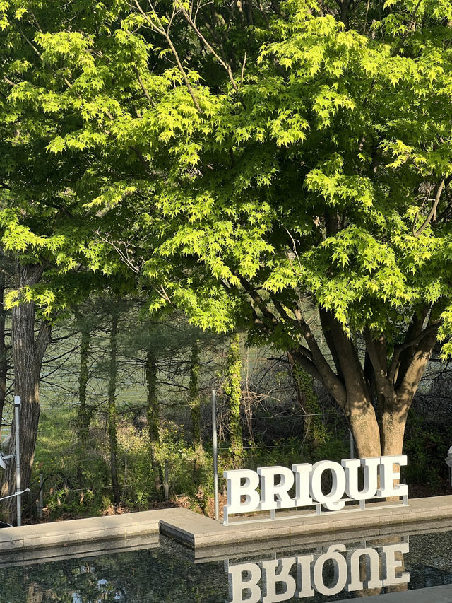 Brique Cafe สถานที่เดทริมแม่น้ำ
