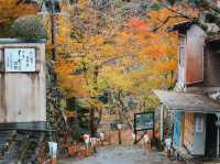 วัด Jingo-ji 