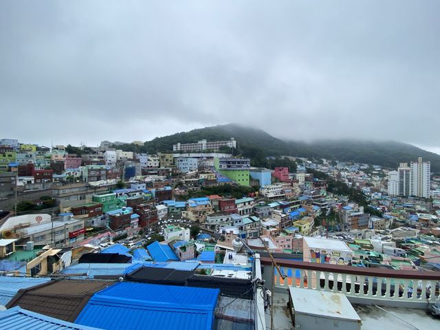 Busan trip
