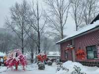 รีวิว หนาวหน้าสั่นที่ Snow Town Harbin