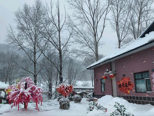 รีวิว หนาวหน้าสั่นที่ Snow Town Harbin