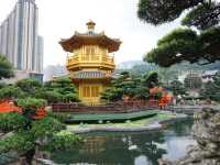 A Peaceful Pause: Hong Kong’s Best Kept Secrets—Chi Lin Nunnery and Nan Lian Garden