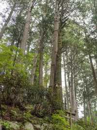 【埼玉県/秩父】一度は行きたい関東屈指のパワースポット