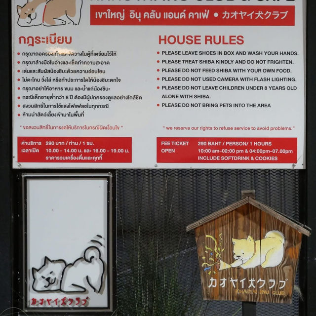 คาเฟ่น้องหมาชิบะ ที่เขาใหญ่🐕
