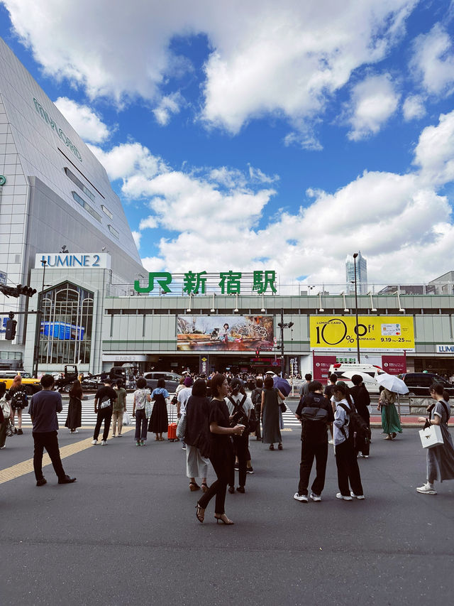 Shinjuku’s Urban Charm: Wagyu Delights & Rooftop Views