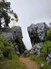 Gems of Chiang Mai and Chiang Rai