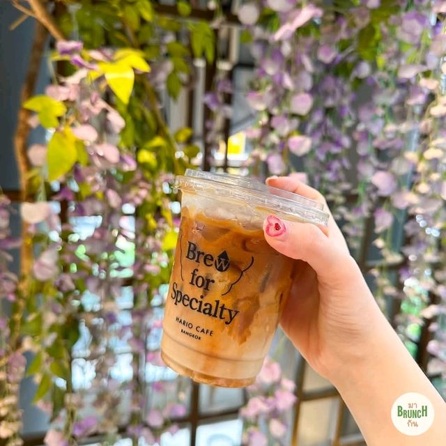 Hario Cafe Bangkok (Thaniya Plaza)