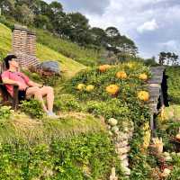 God's Valley Da Lat - The Hidden Myrhical Land