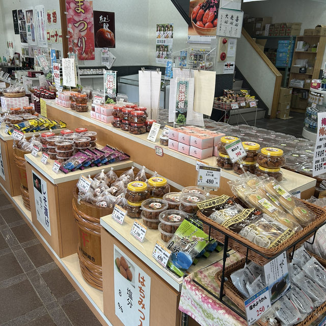 【福井/三方上中】梅のお土産を買うならここ☝️