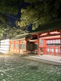 ⛩️ ✅🍡武蔵一宮氷川神社 攻略ガイド – 2000年の歴史を感じる大宮のパワースポット