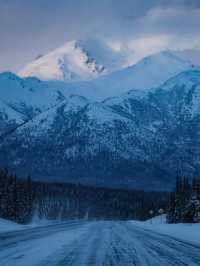 Into the Wild – My Winter Adventure in Denali National Park, Alaska