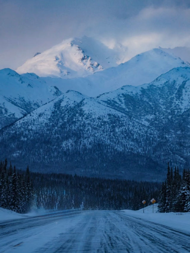 Into the Wild – My Winter Adventure in Denali National Park, Alaska