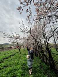 Experience Travel like a Local in Kyrgyzstan 😍