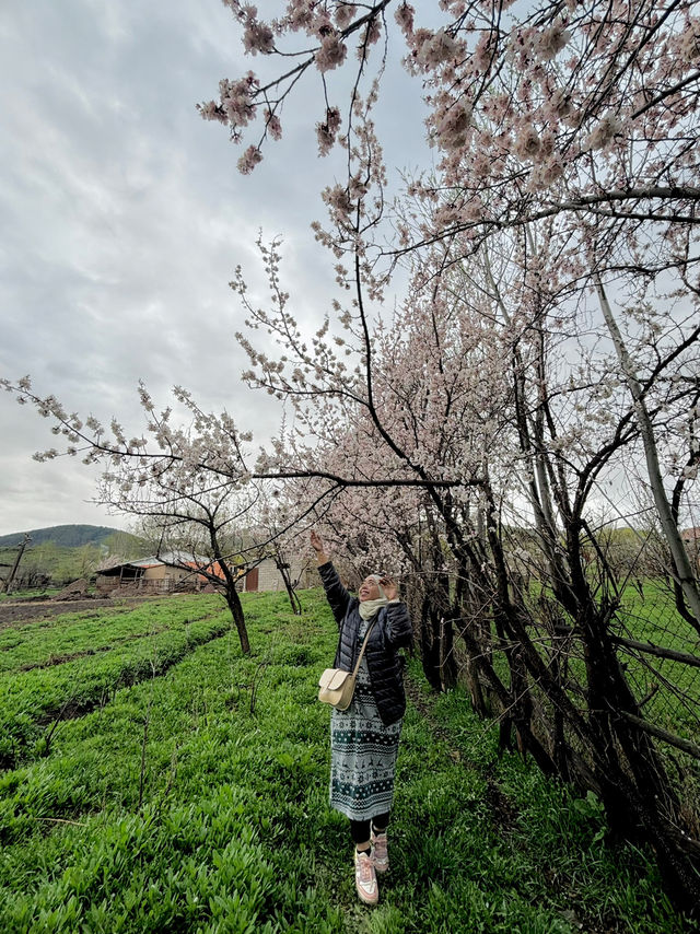 Experience Travel like a Local in Kyrgyzstan 😍