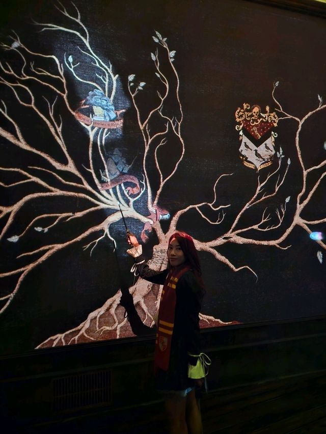 Harry Potter: Vission of Magic @ Singapore