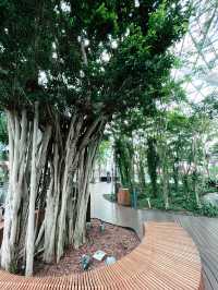 “Jewel Changi: Nature Meets Architecture in a Green Paradise”