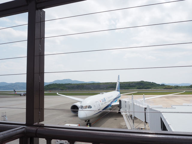 ✈️🌸 夢幻粉紅色機場：長崎機場