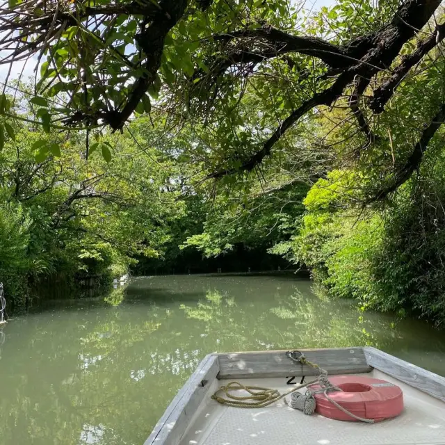 Yanagawa River Cruise
