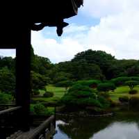 日本皇室的花園🌸🏯皇居東御苑