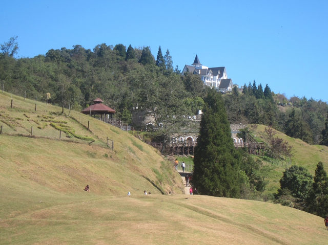 A Slice of Swiss Paradise in Nantou: Qingjing Farm